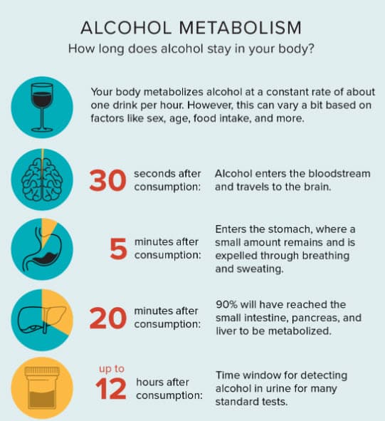 Alcohal-Metabolism and sleep effect