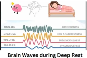 DeepRest Theta brain wave during Yoga Nidra