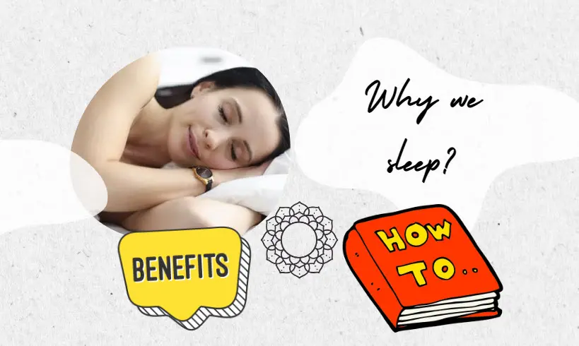 Why We sleep? And Benefits