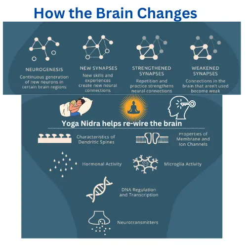 How the brain changes with Yoga Nidra